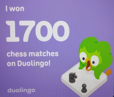 Chess-duolingo-Kate-AKS