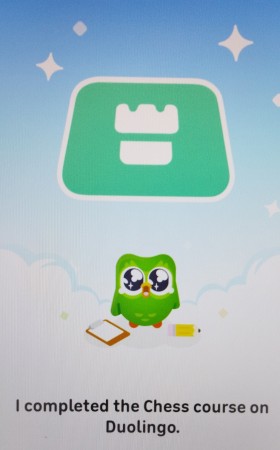 Chess-duolingo-Kate-AKS