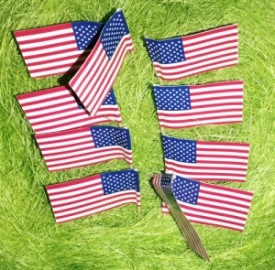 Patriotic-backyard-party-short-story-by-Kate-AKS-Aksonova