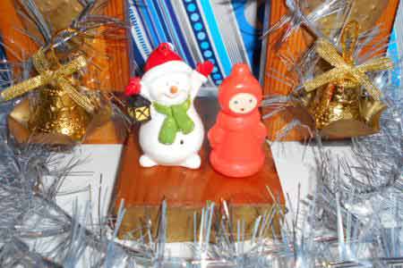 winter's-invitations-by-Kateryna-Aksonova