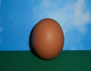 what-is-in-the-egg-by-Kateryna-Aksonova-Kate-AKS